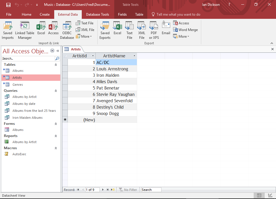 Screenshot of a Microsoft Access database table