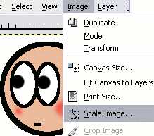 The 'Scale Image' option